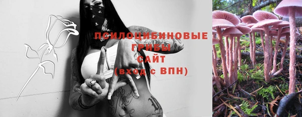 бошки Саяногорск